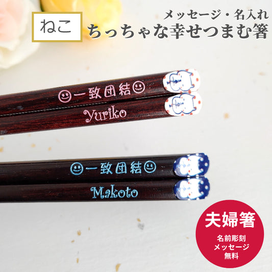 Cute Japanese chopsticks with shy cat blue red - DOUBLE PAIR