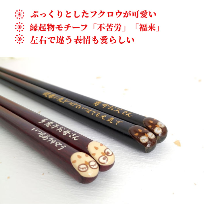 Lucky Owls Japanese chopsticks brown white - DOUBLE PAIR WITH ENGRAVED WOODEN BOX SET