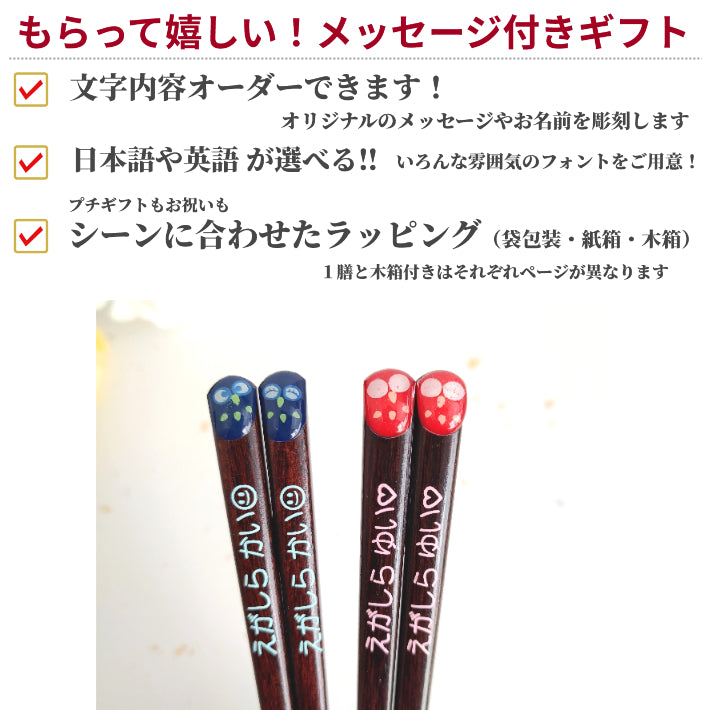 Kid's Lucky Owls Japanese chopsticks blue red - SINGLE PAIR