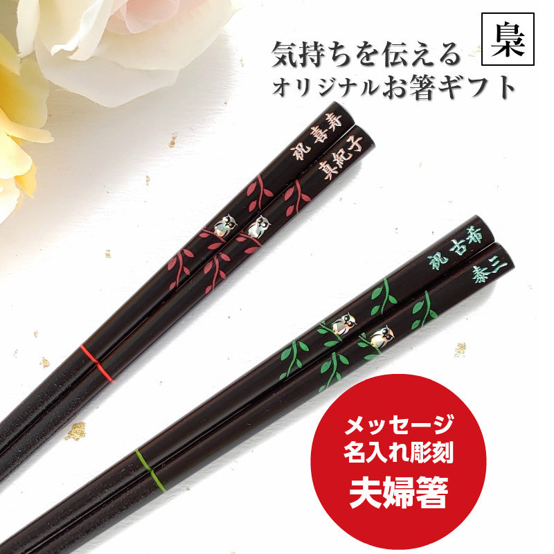 Cute Japanese chopsticks with little shiny owl green red - DOUBLE PAIR